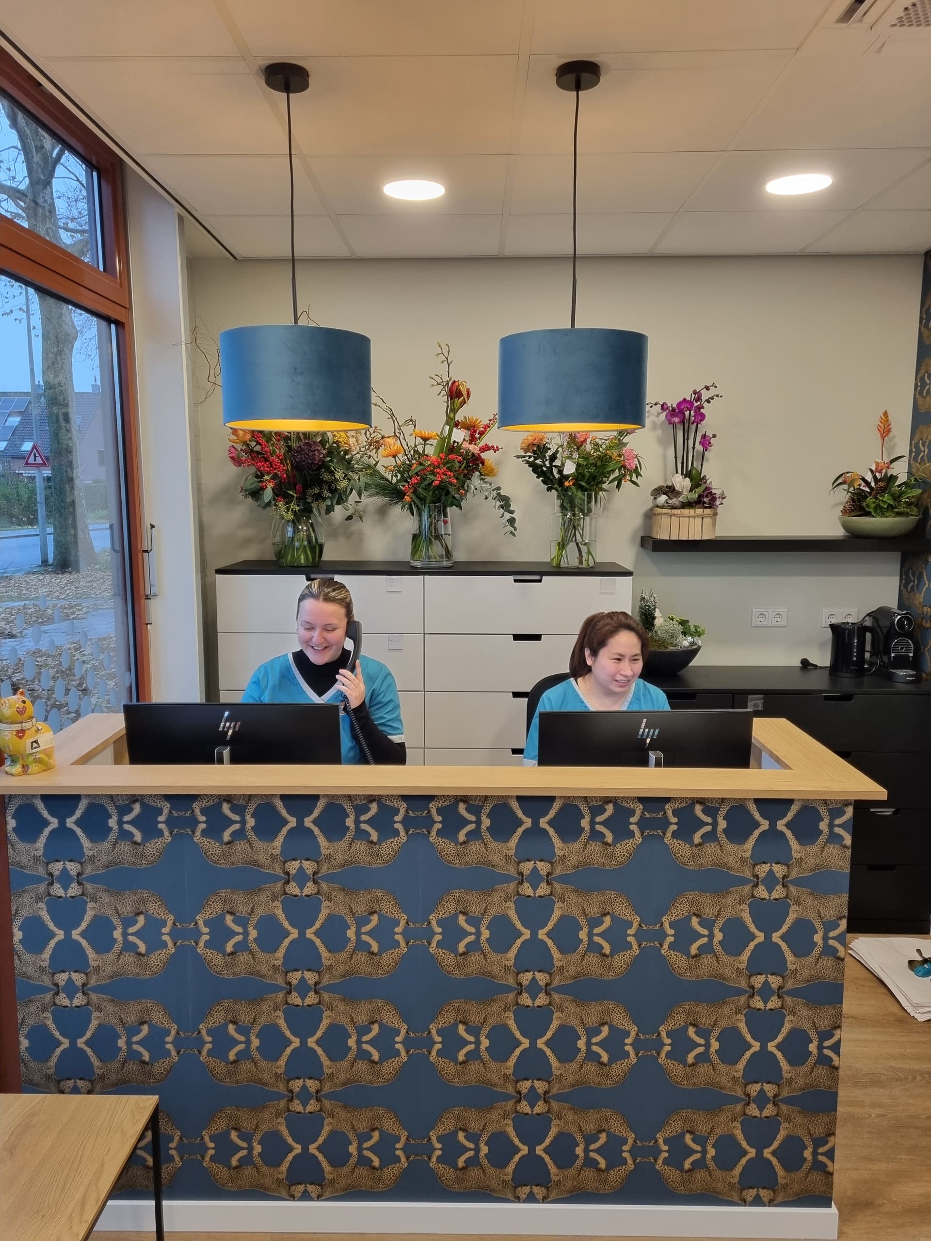 De balie van De Kattenpraktijk: twee assistentes achter het bureau, onder blauwe hanglampen met boeketten erachter.