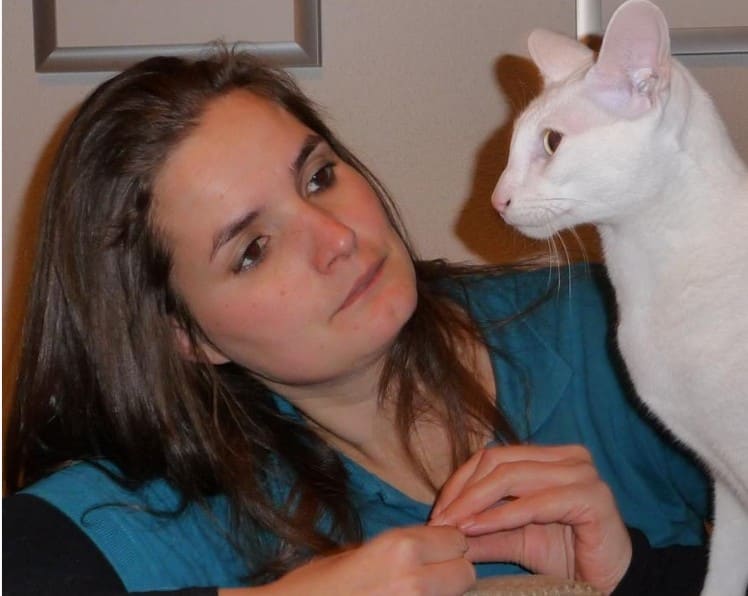 Een witte oosterse kat zit rechtop naast zijn eigenaar en kijkt haar aan.