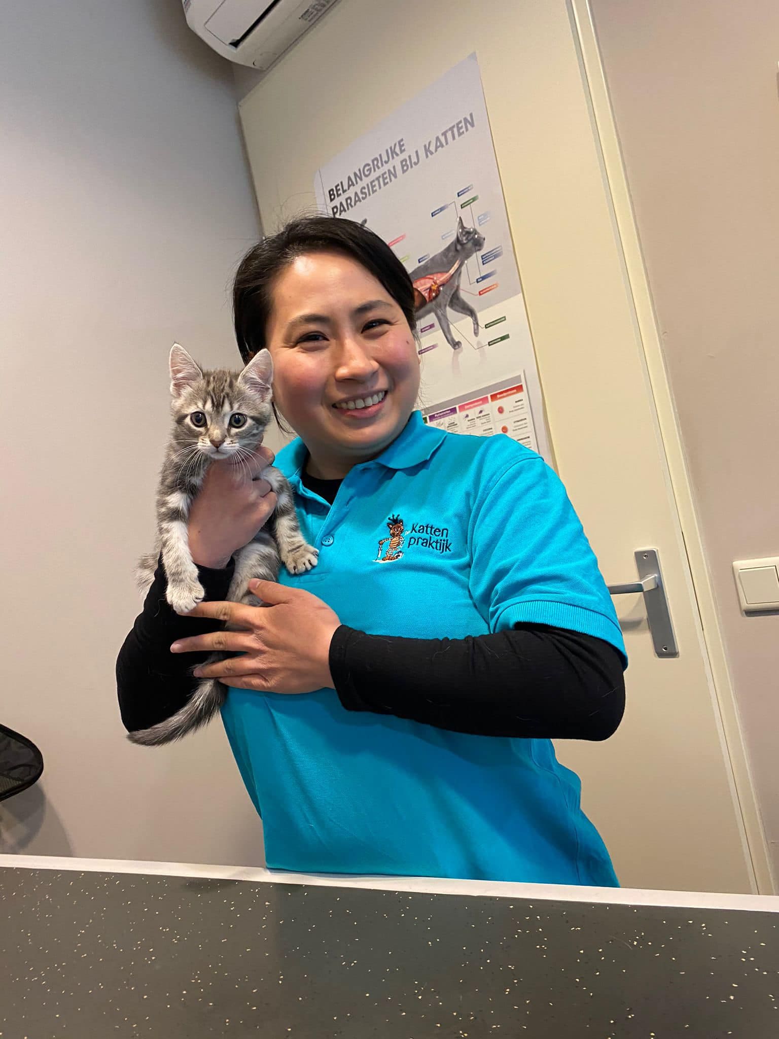 Een assistente in een turquoise poloshirt van de Kattenpraktijk houdt een jong gestreept katje omhoog in de spreekkamer.
